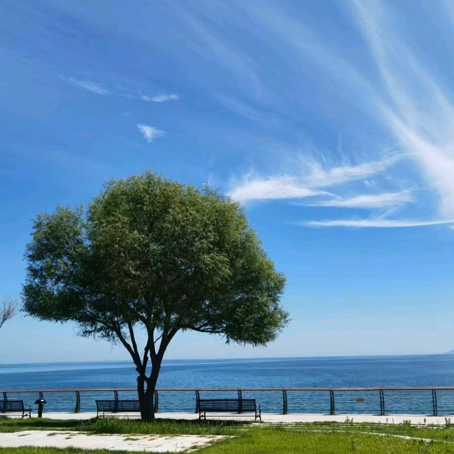 ✨⃢前⃢程⃢似⃢锦⃢🤩