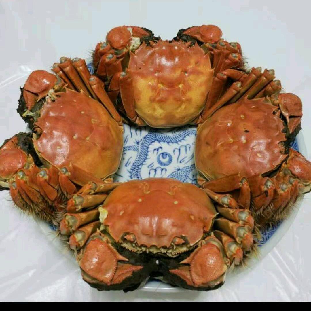 封鉆
