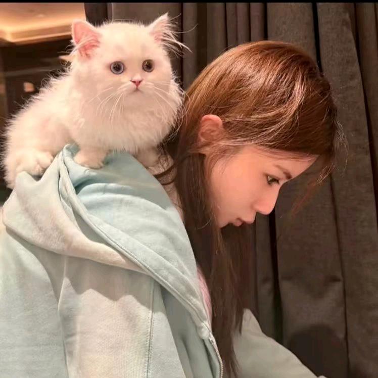 我不救村长