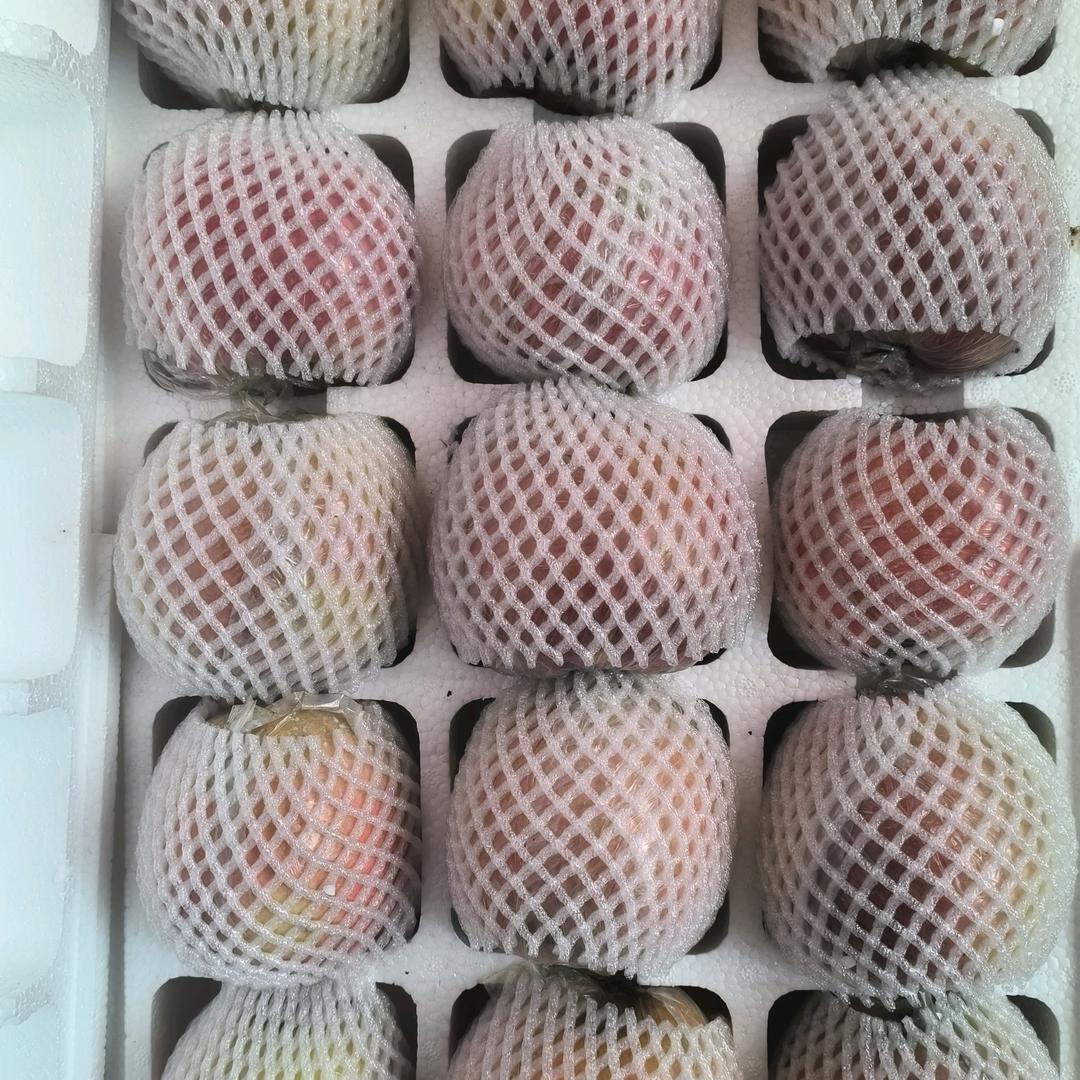 丰县大沙河红富士