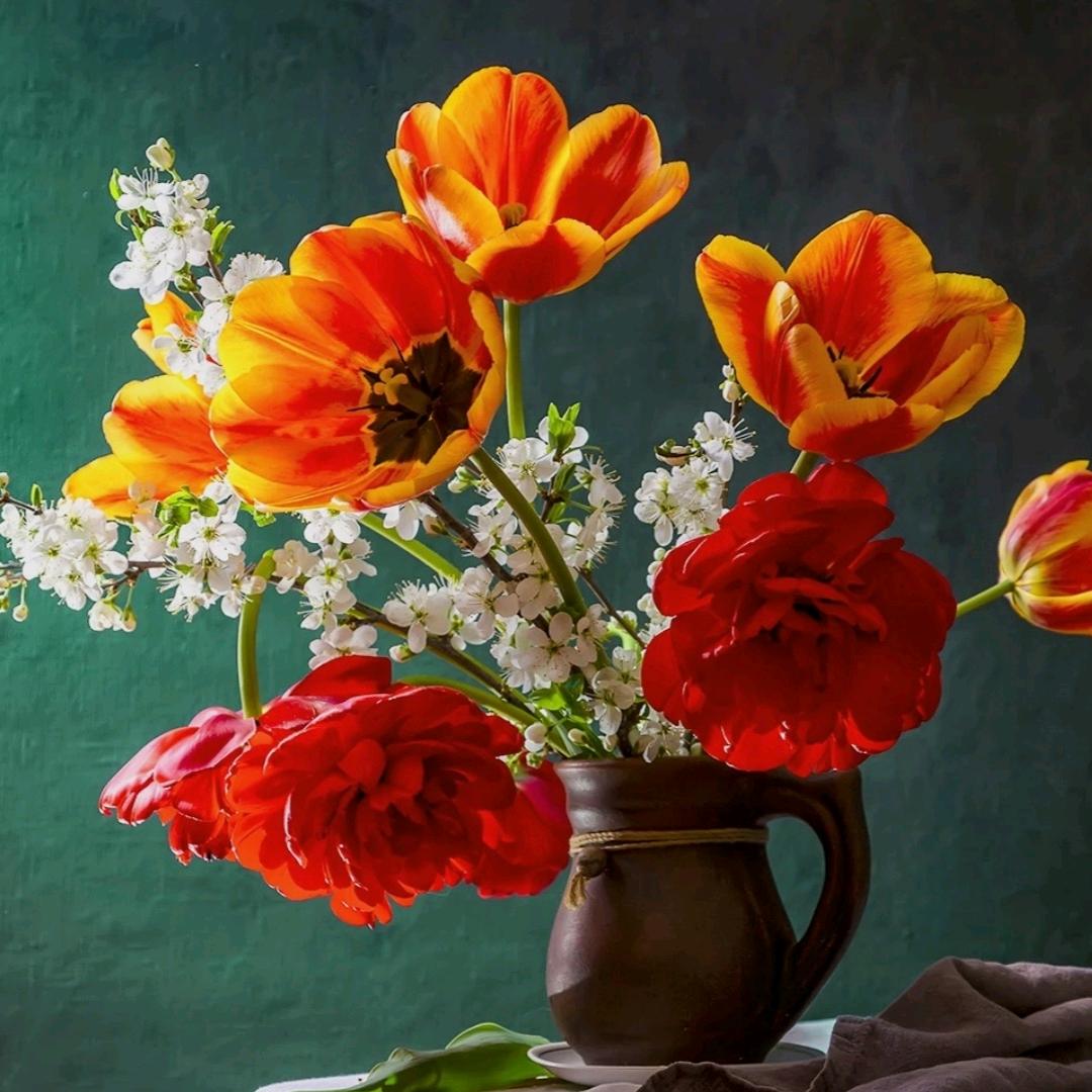 🌺单身 🌺妈妈🌺