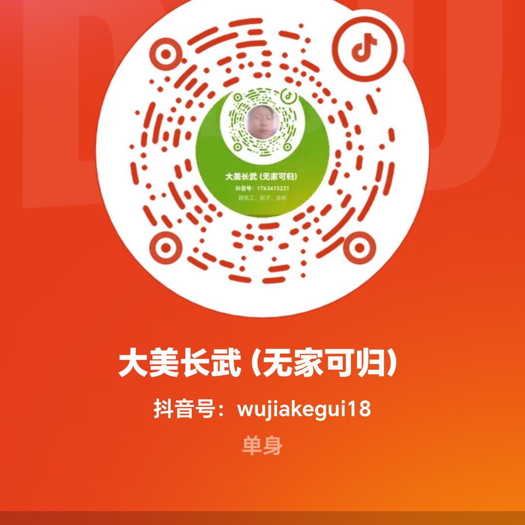 大美长武(无家可归)