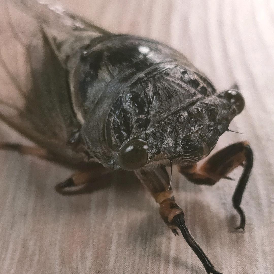 美丽人生111