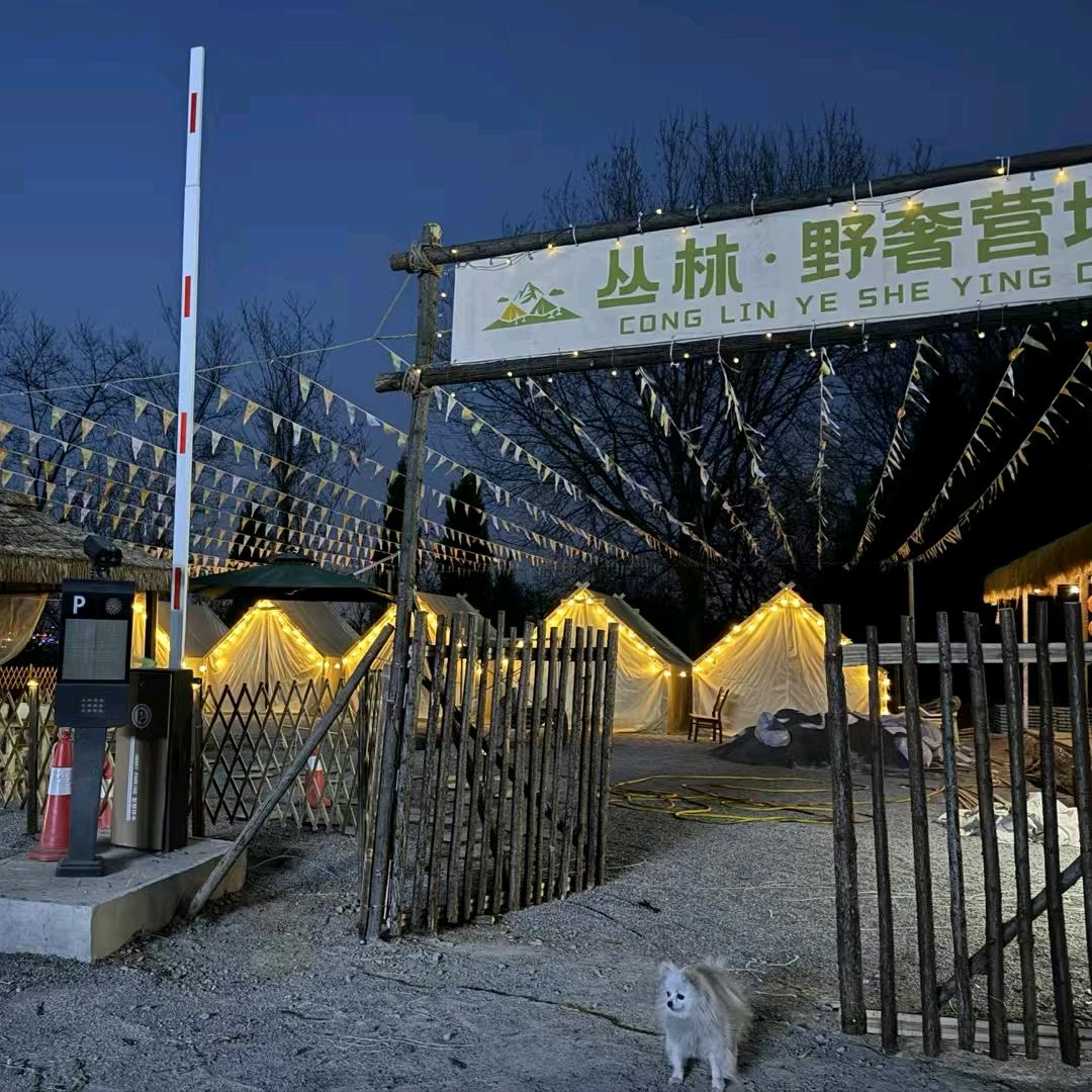 白马寺丛林野奢露营地