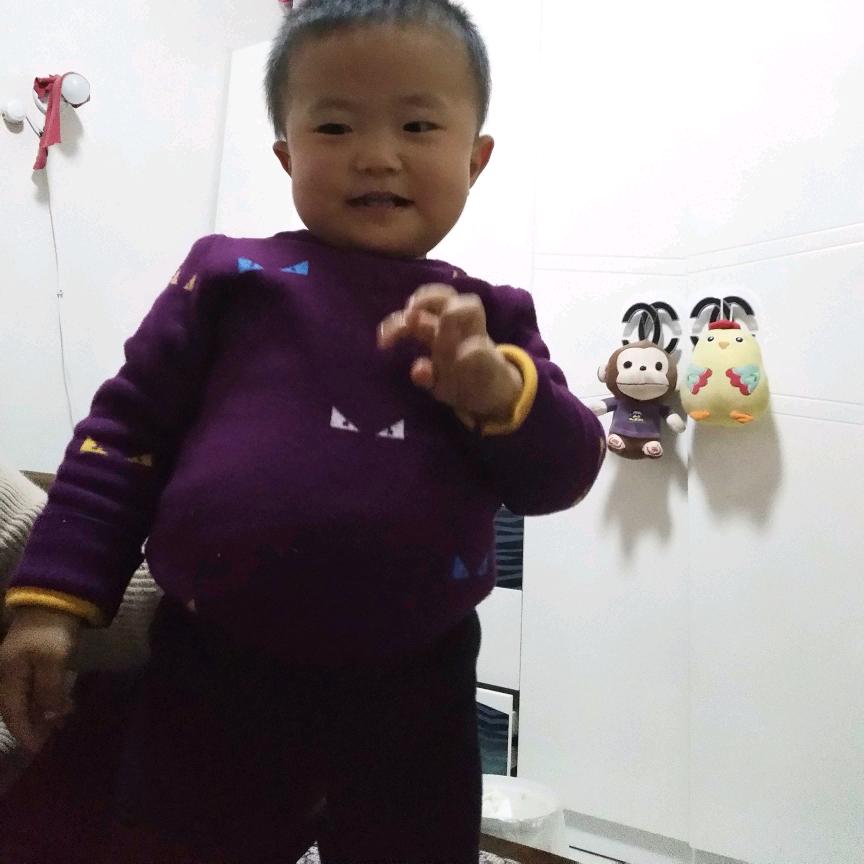 勿忘我3395704784904