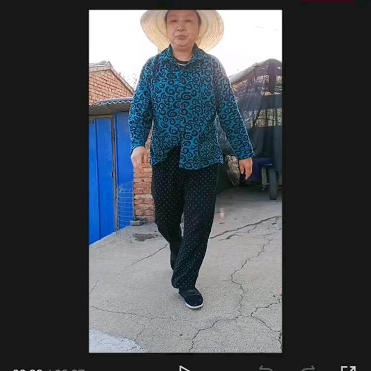 搞笑东北人