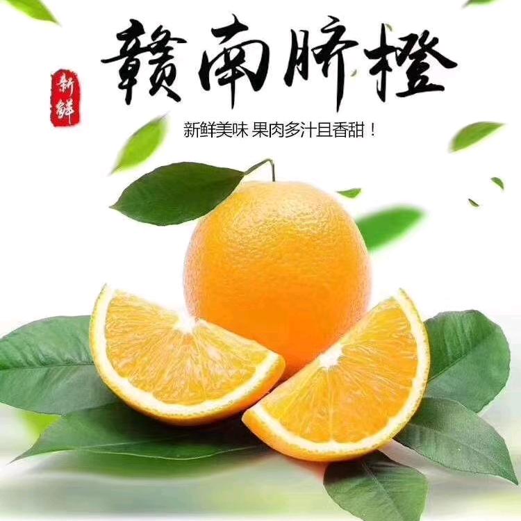 正宗赣南·安远脐橙