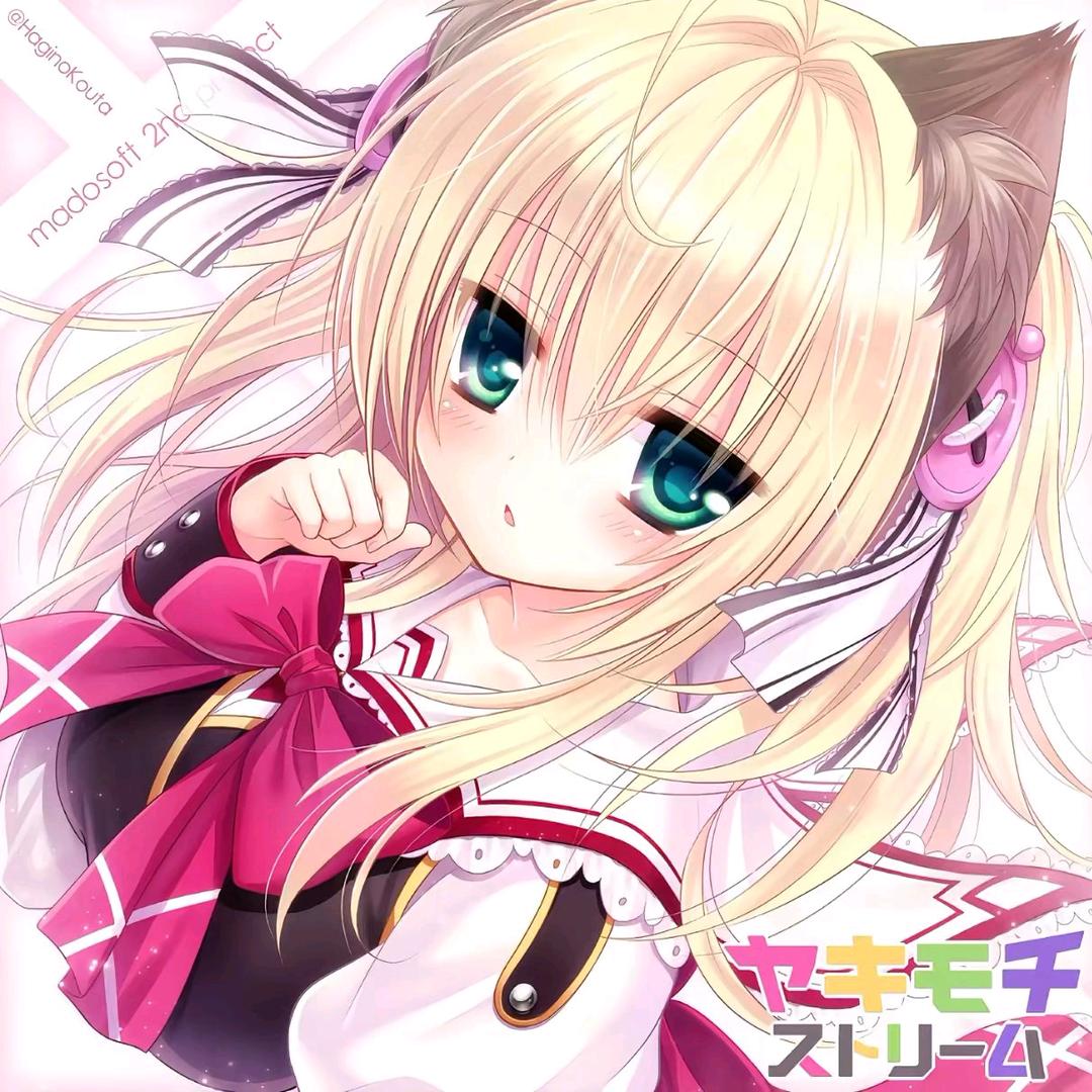 笨笨猫