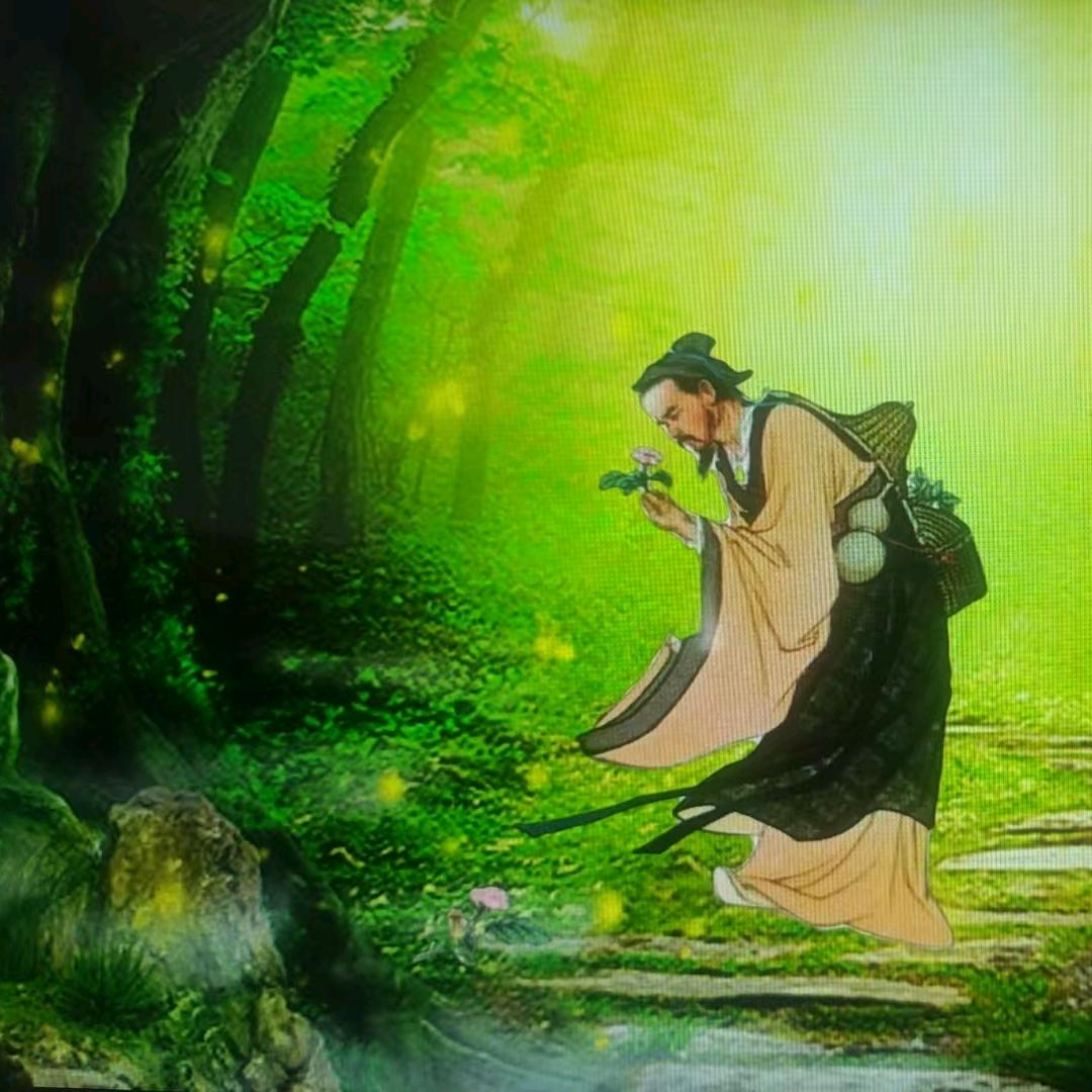 本草漂流记