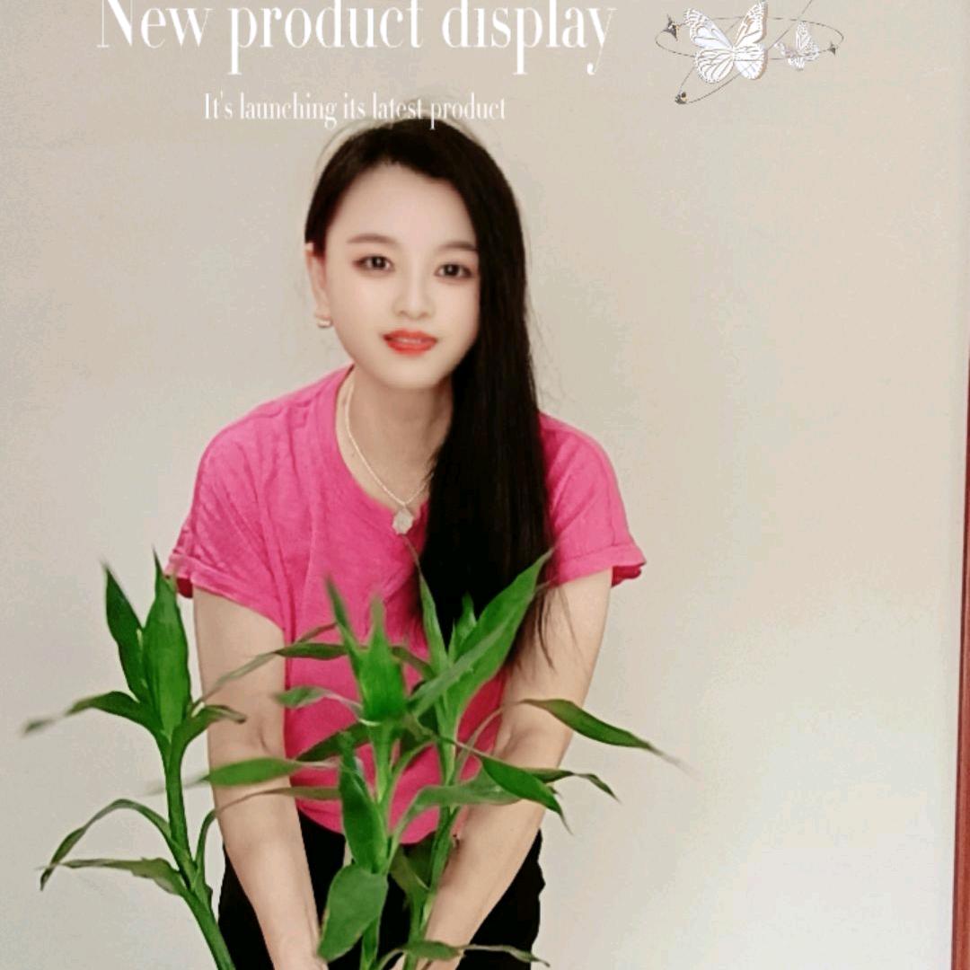 娇娇