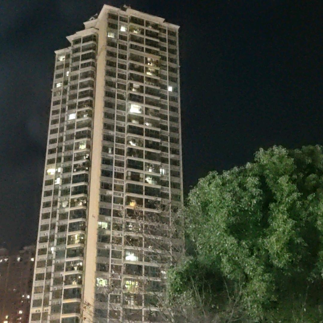 《南帝》