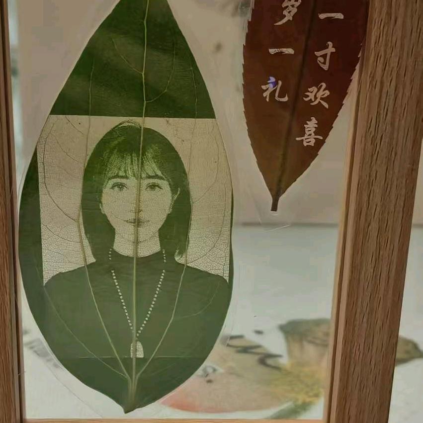 伶俐（专属号）