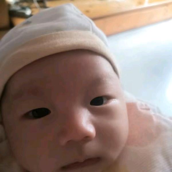 幽兰烟雨梦兰🍒