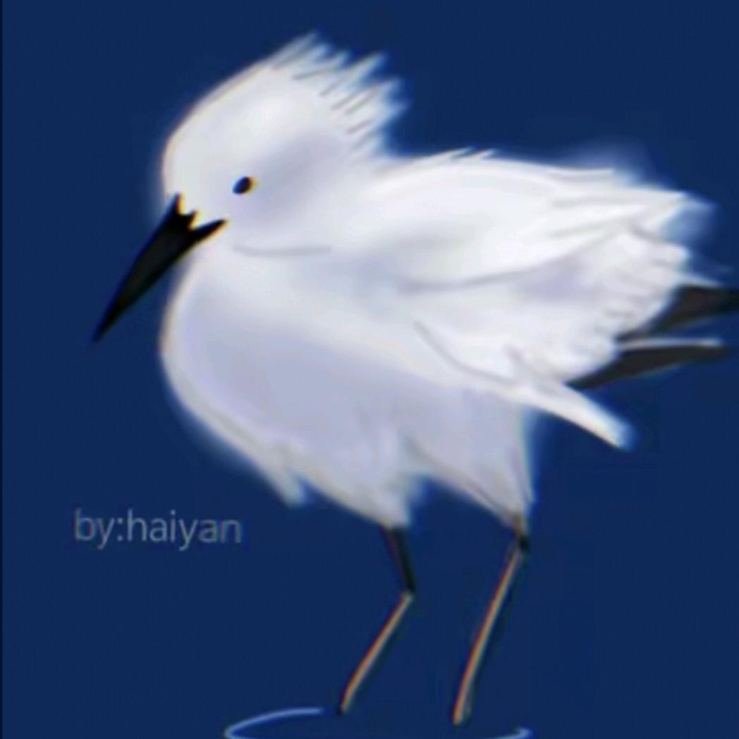 一袋海盐