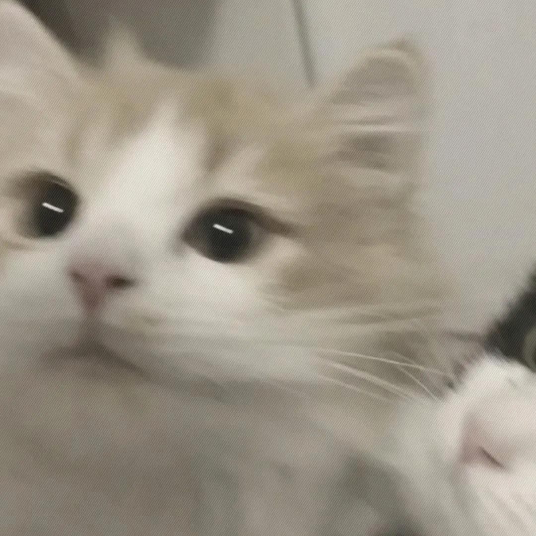 ＋🔔
