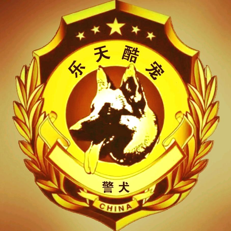 ✨乐天酷宠🐺马犬💥