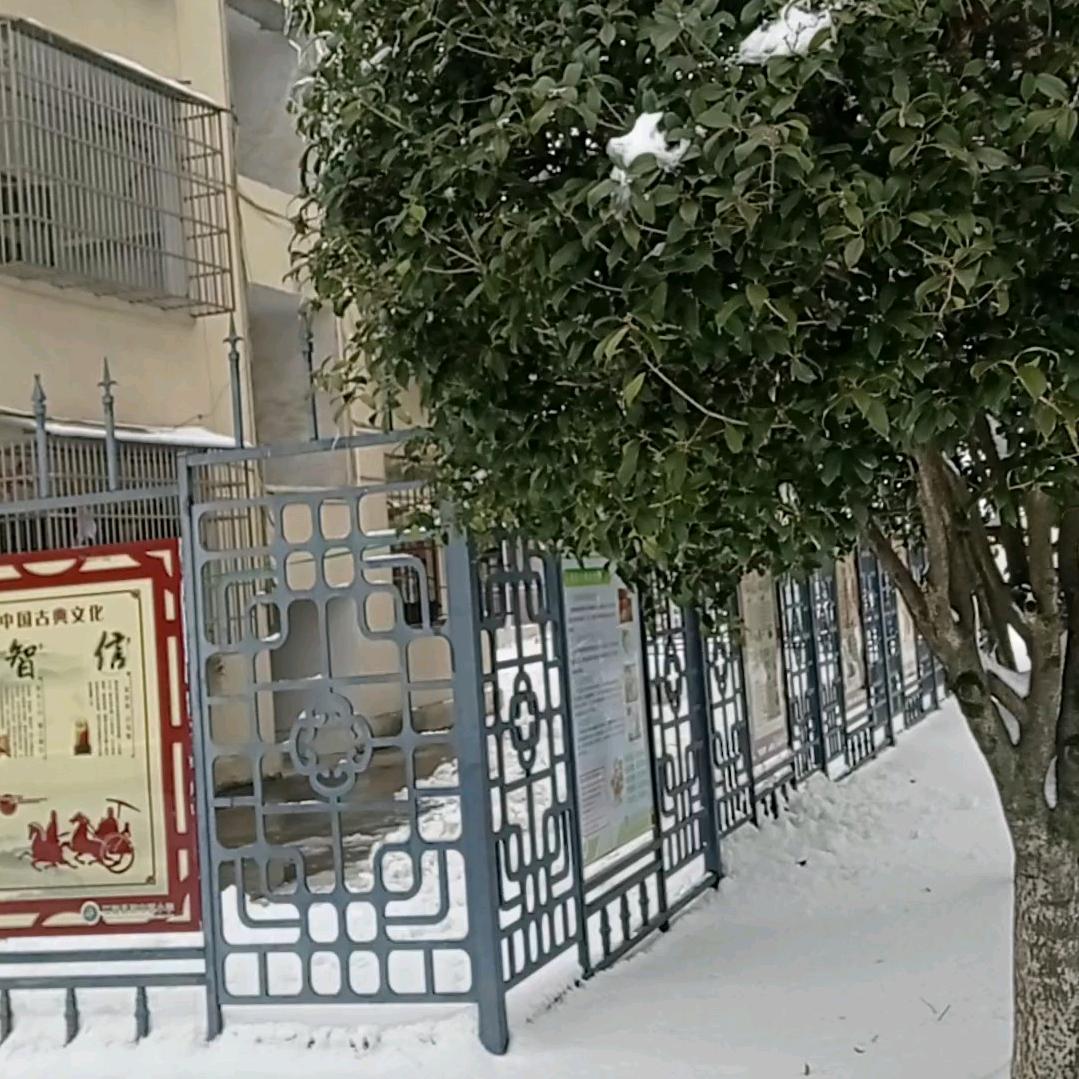 🌹时光以过🌹