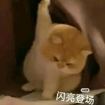 Kakakao