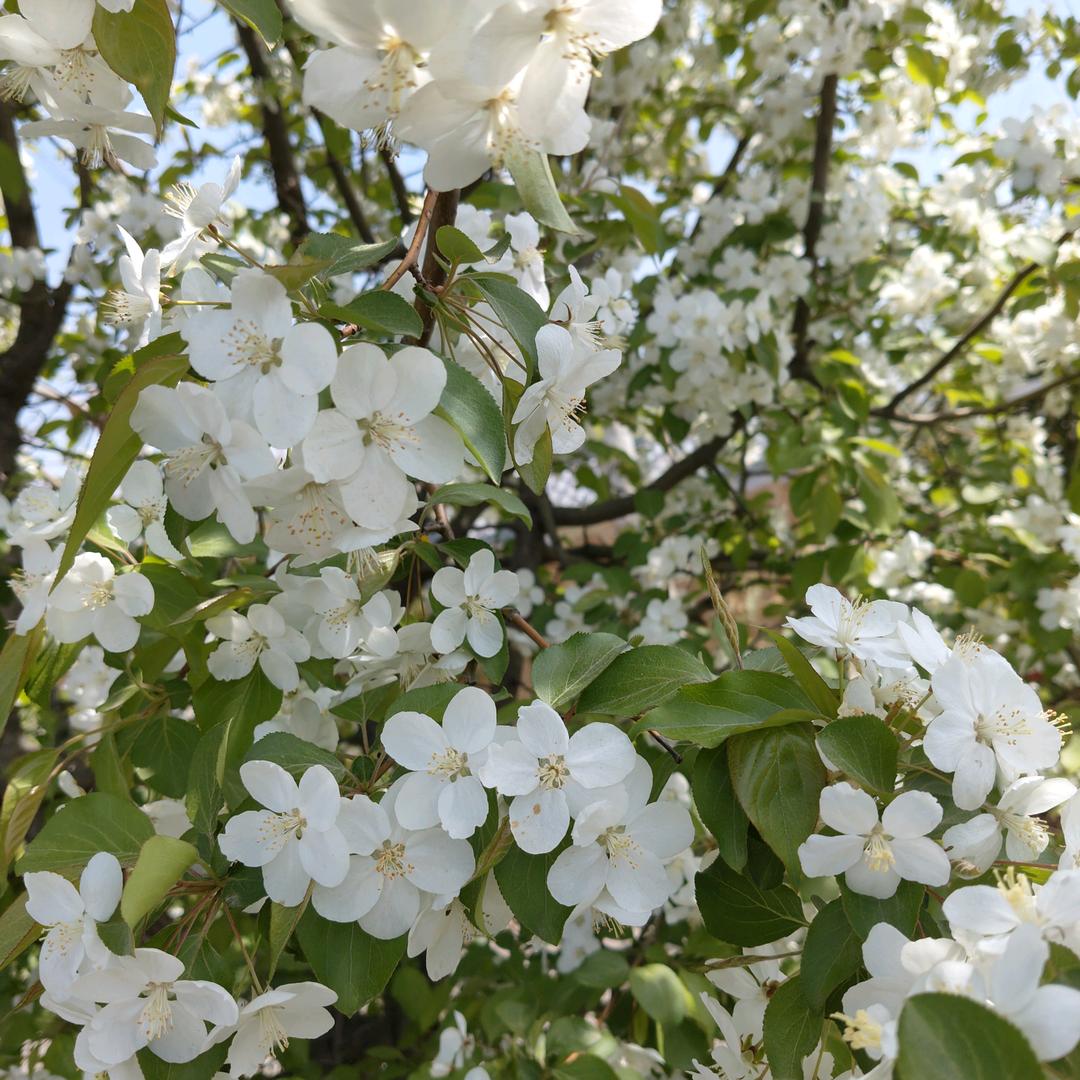 ໑ຼₒ₂5ღ忙碌的小鹿🦋꧔ꦿ᭄💞