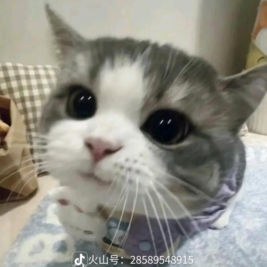 回家的路有多远