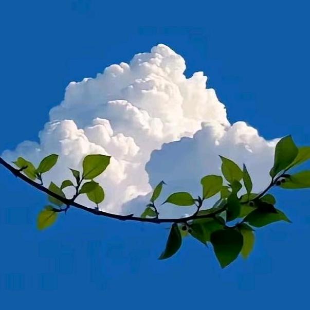 天^O^空