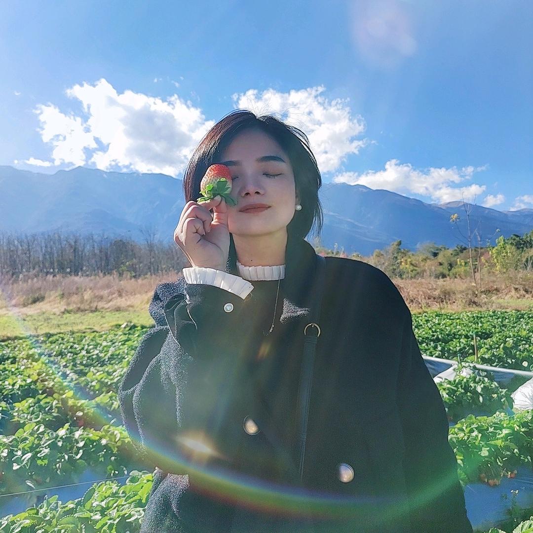 嘎嘣脆豆腐干店