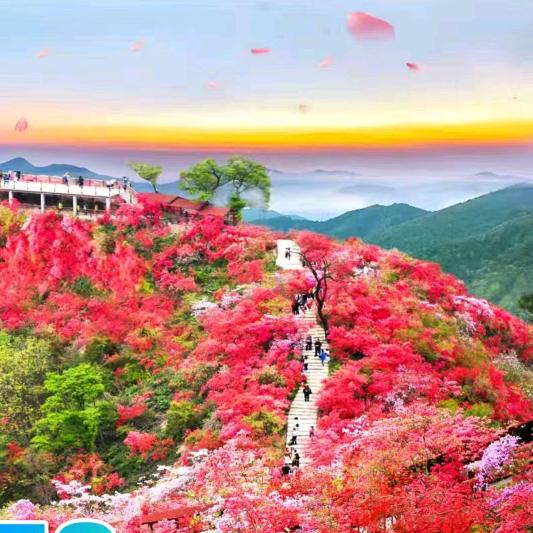鄱湖风情