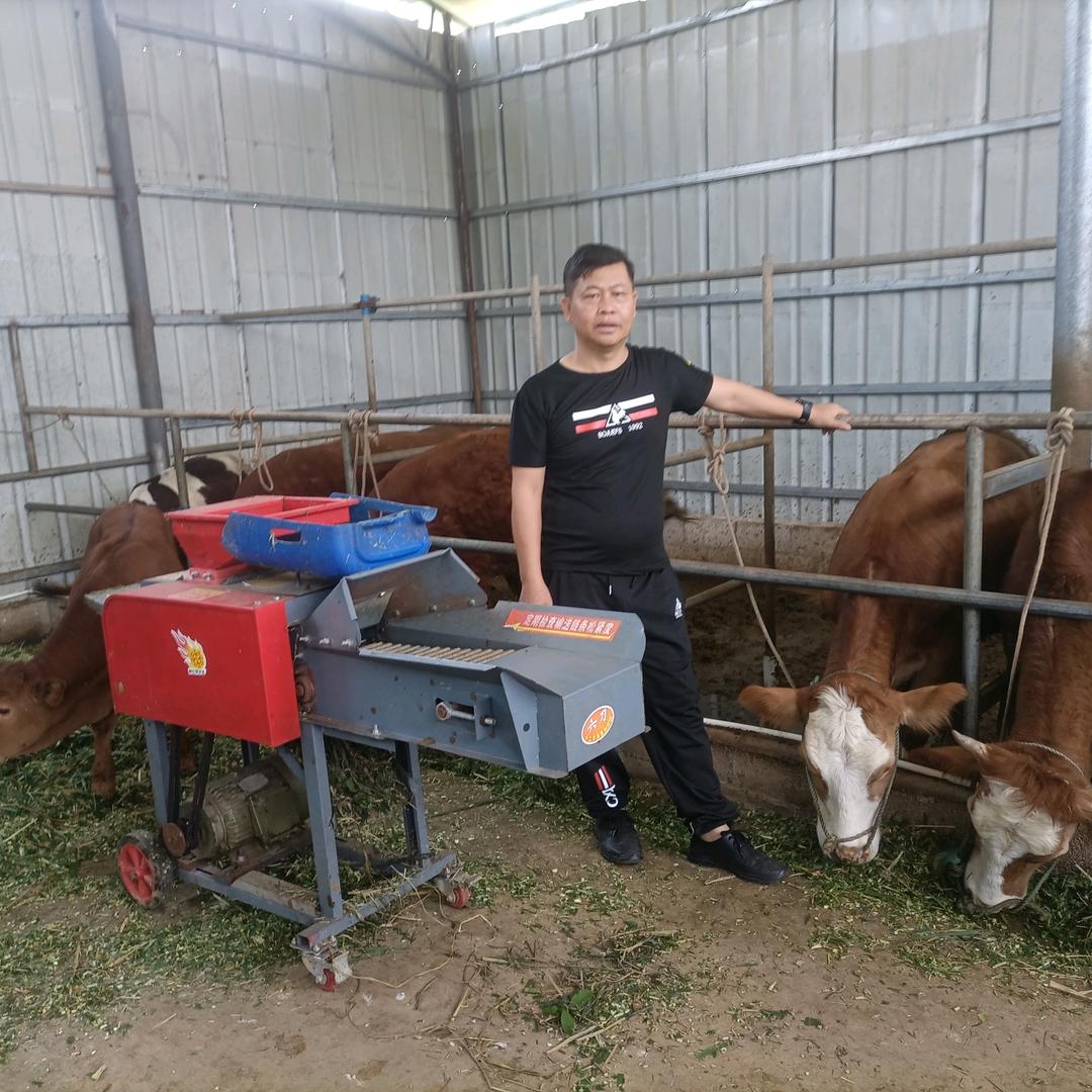 不明就学