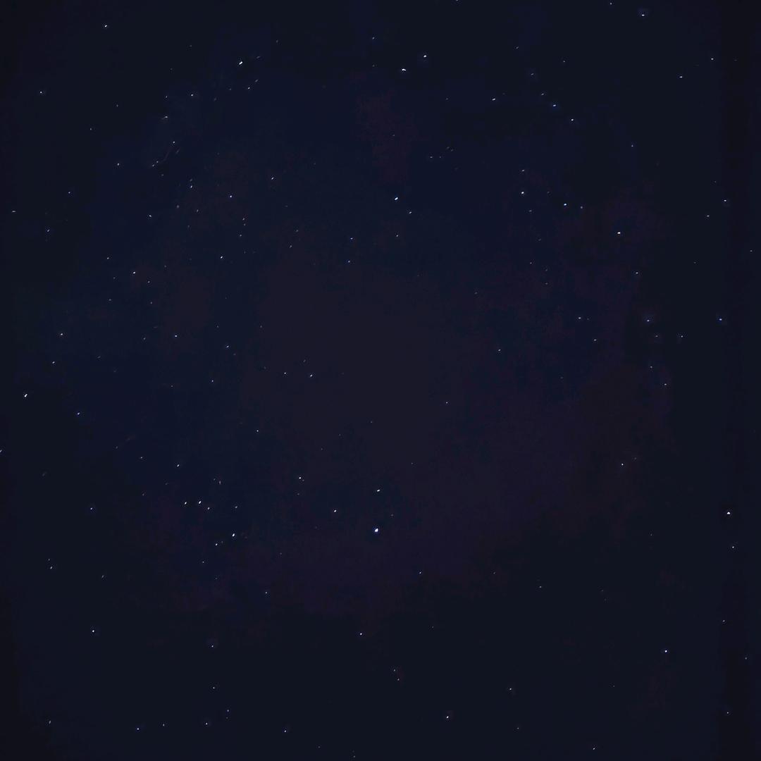 鑫鑫（复活版）