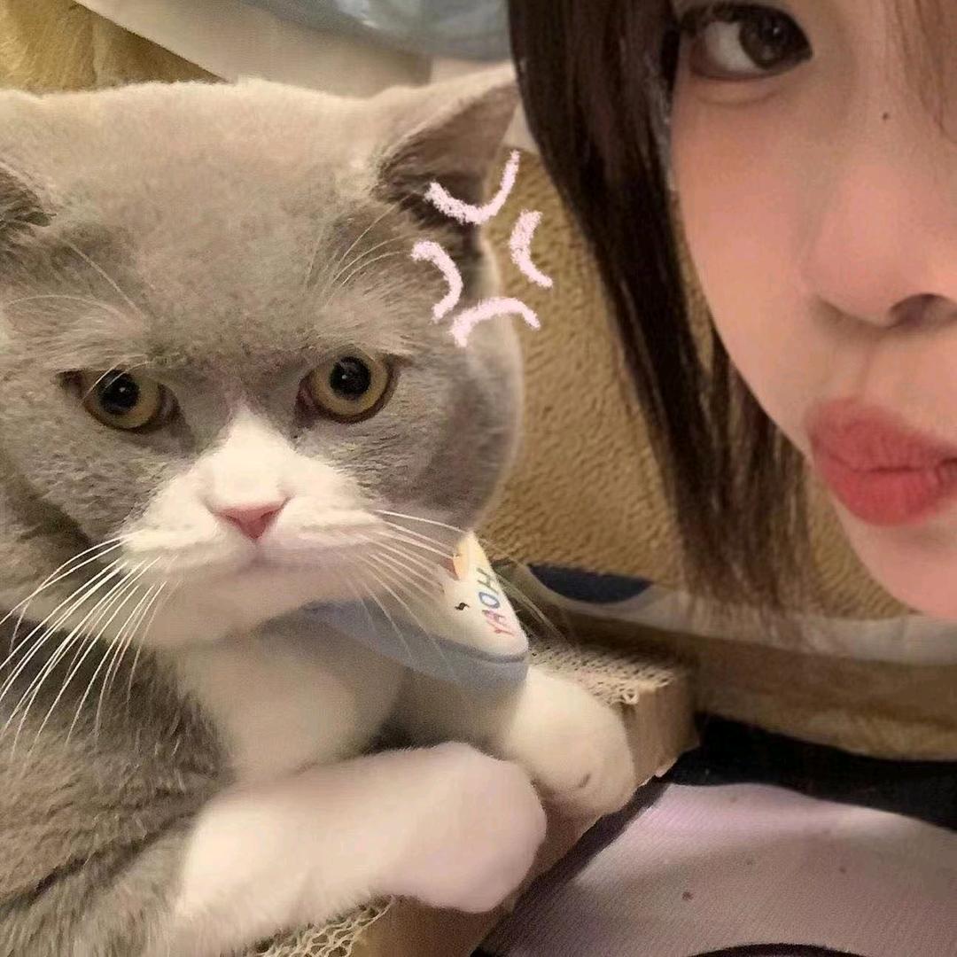 𝓛𝓾𝓬𝓴𝔂✨