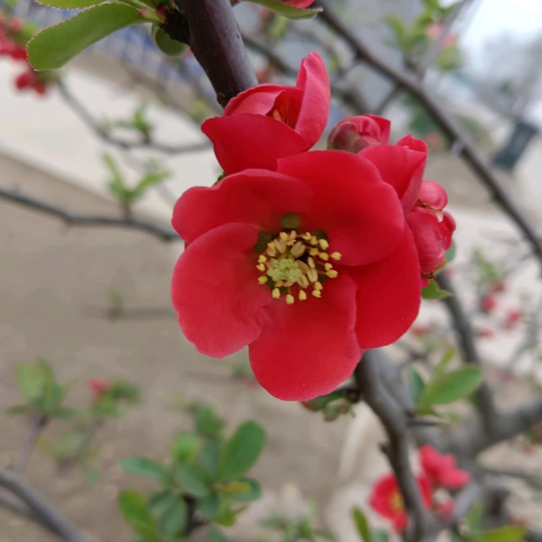 福盛优选178❤