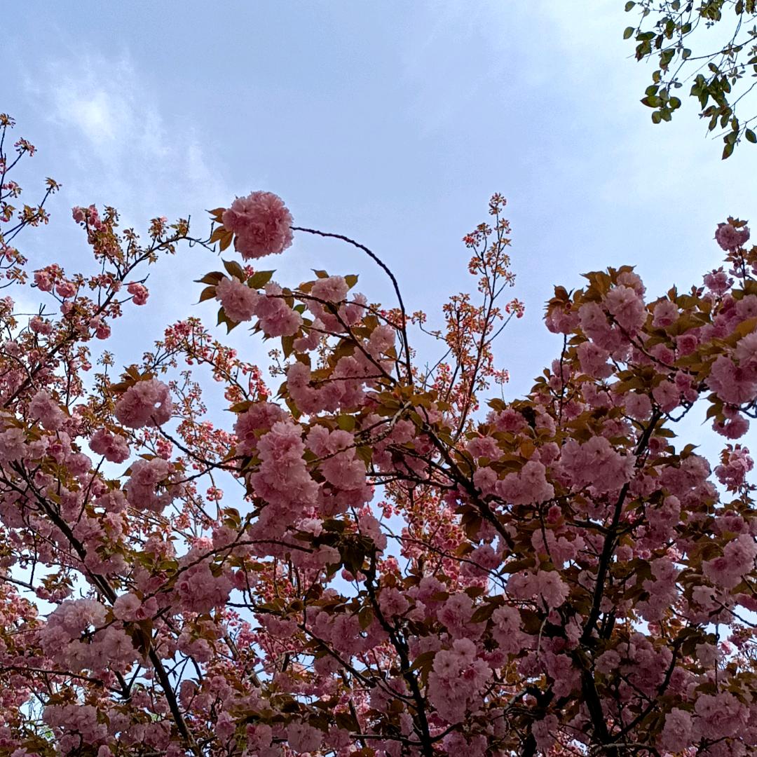 源姐爱生活🥰