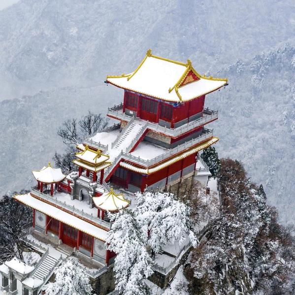 山哥来巡山