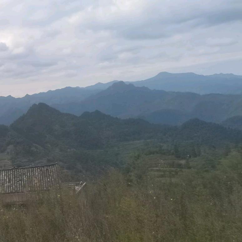 吉星高照