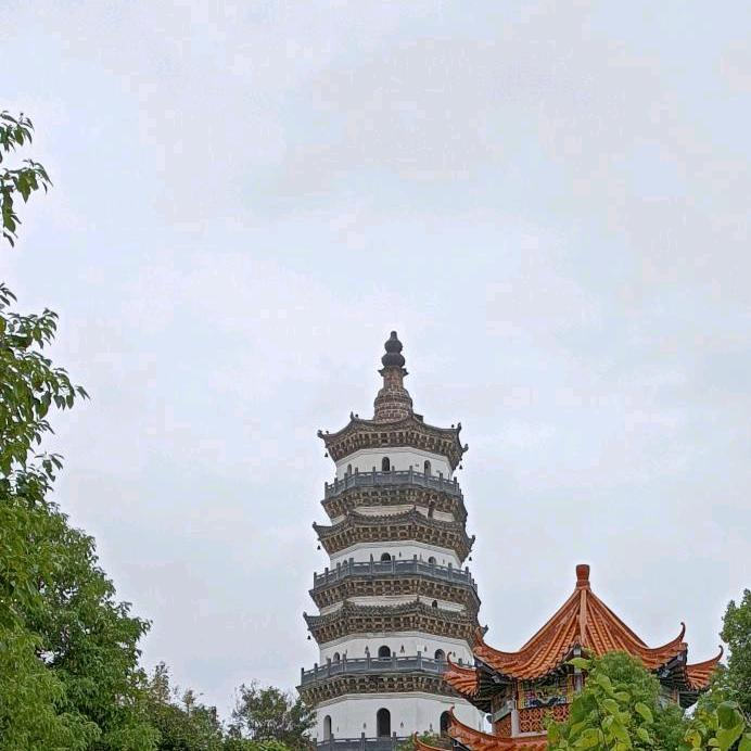 xxy1120头像