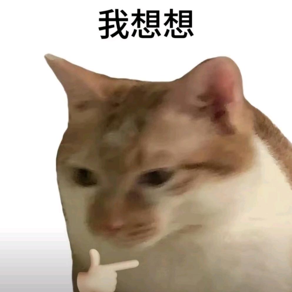 曹啊喵