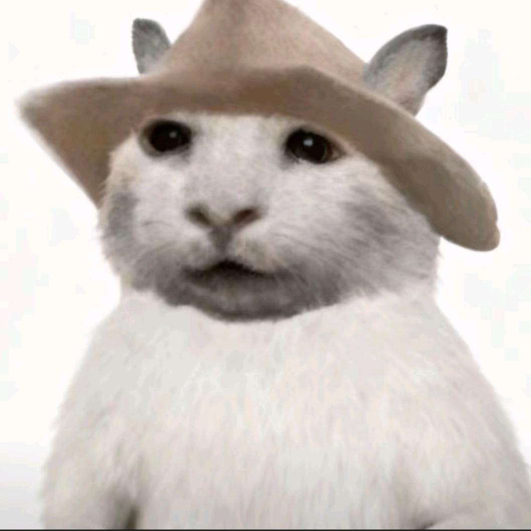 洛洛