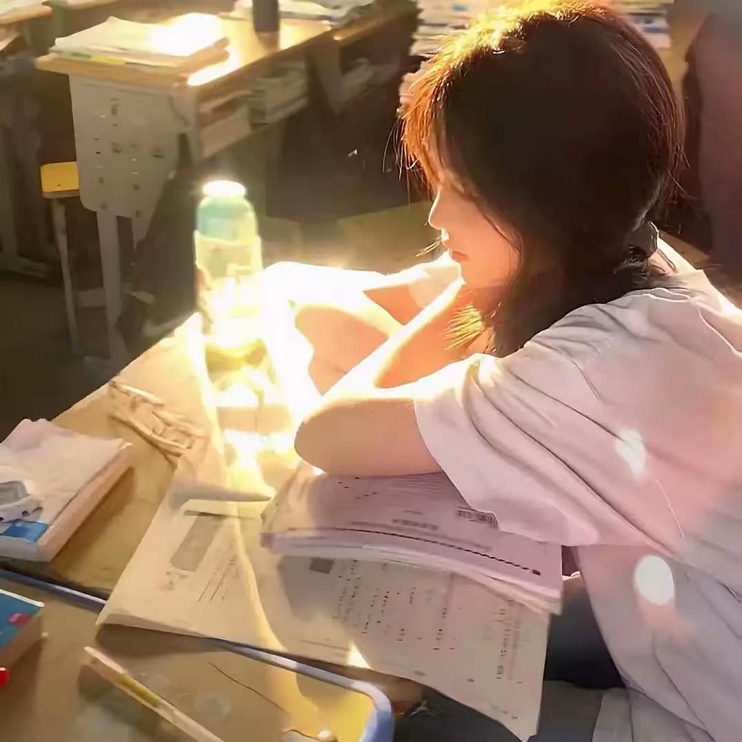 雾枝笼月