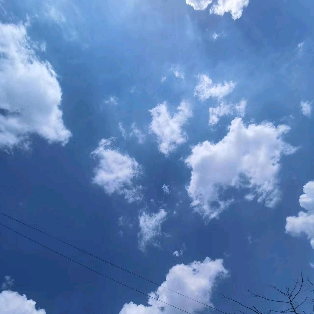 梅梅姐
