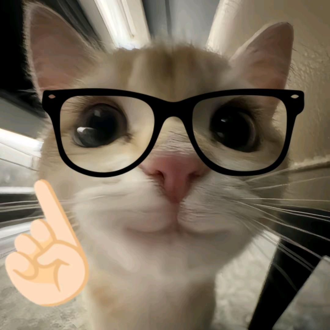 谢荼