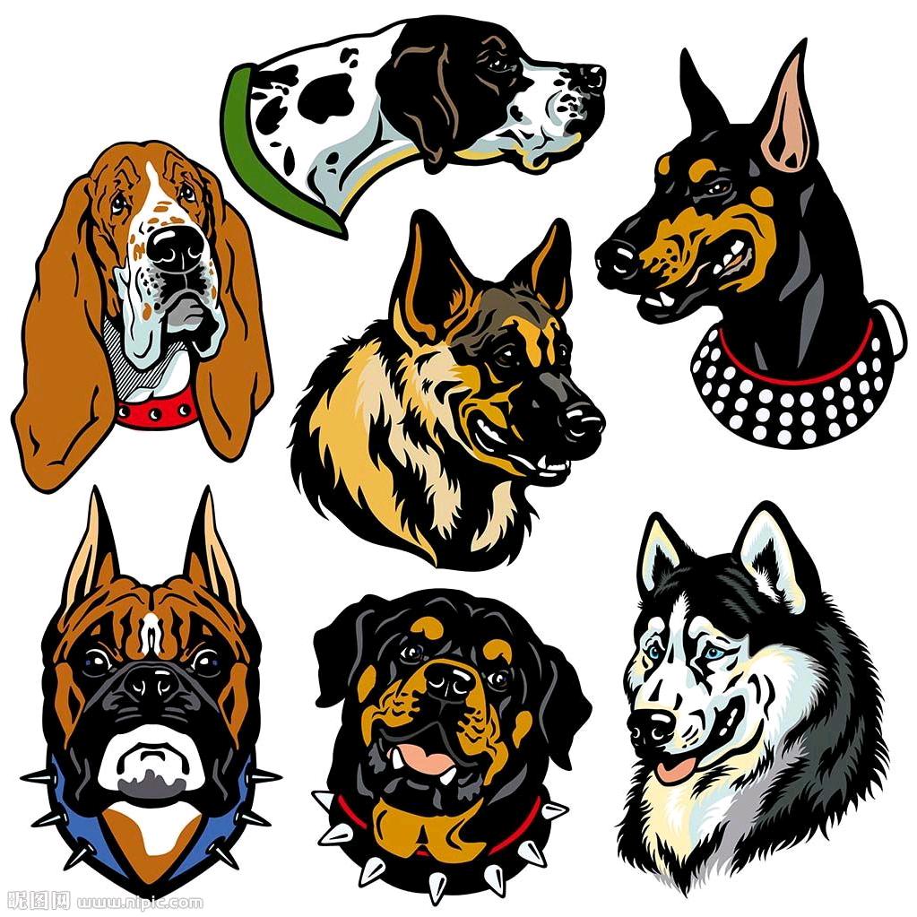 广西田园犬（精挑细选）