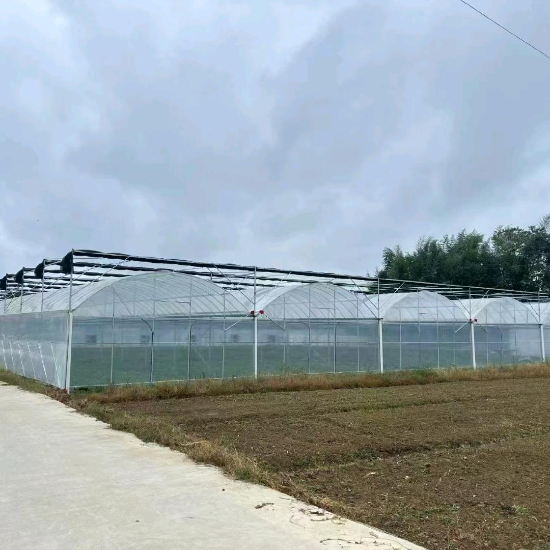 四川精造大棚，生产，设计安装公司