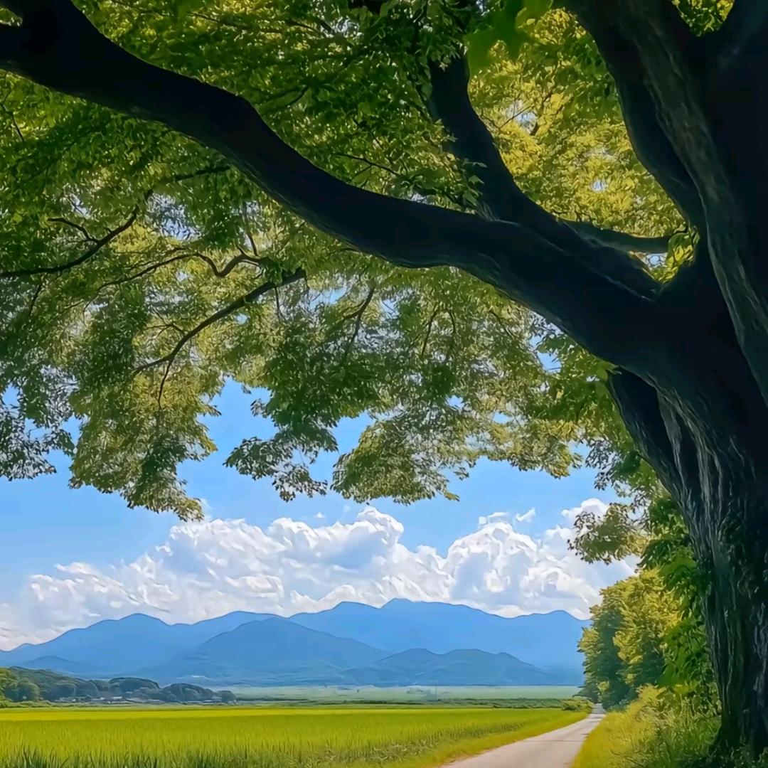 小南方收破烂