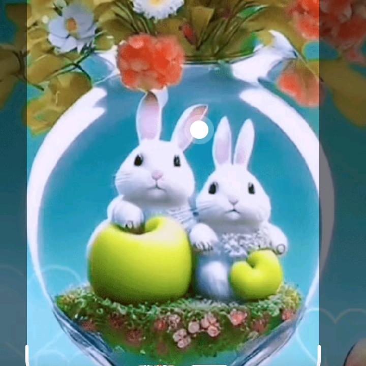 思念在雨季飘移