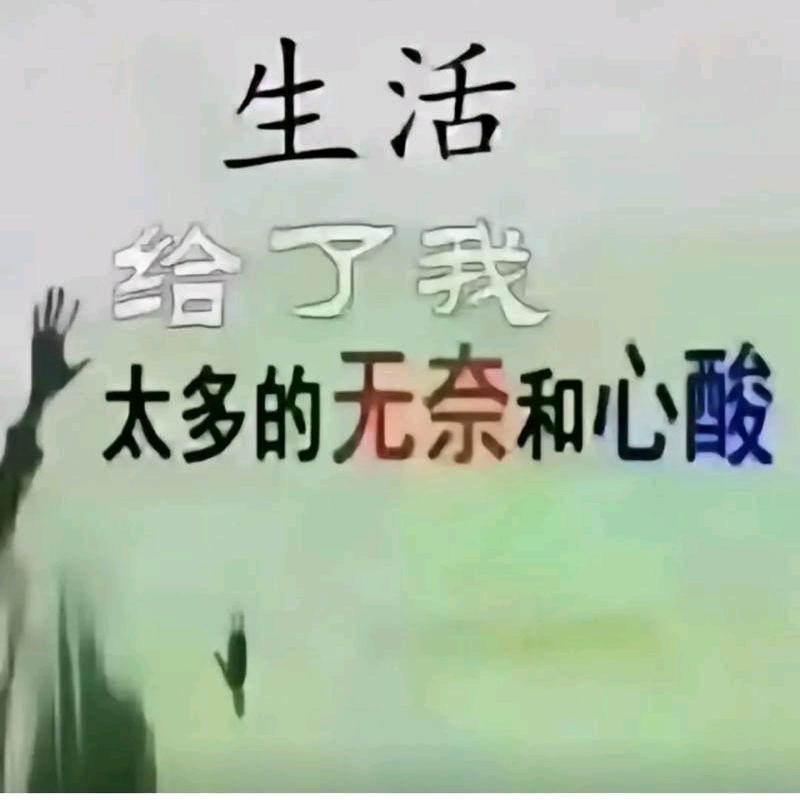 高位截瘫小威