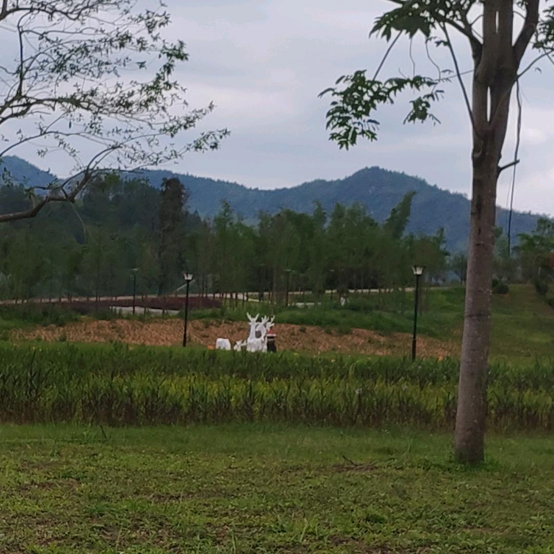 风景如画