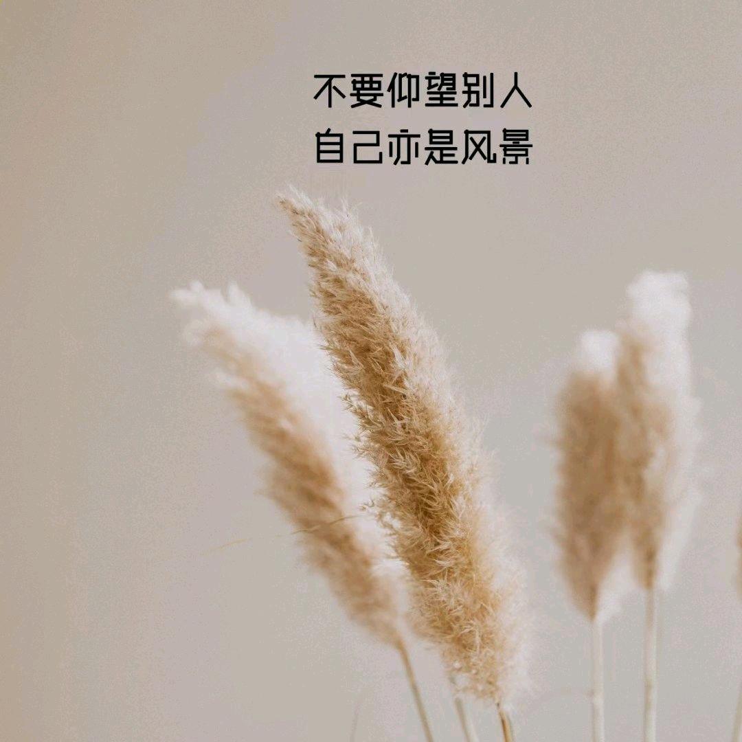 小米面～