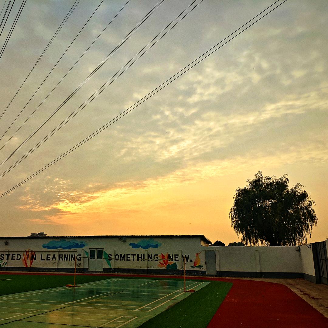 格学单招培训王老师