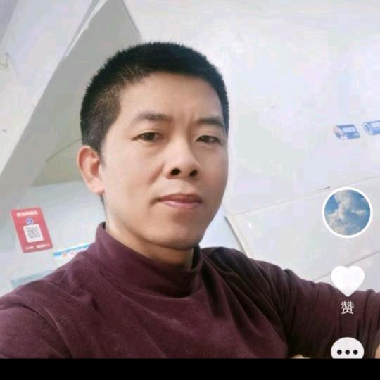 孤独的狼