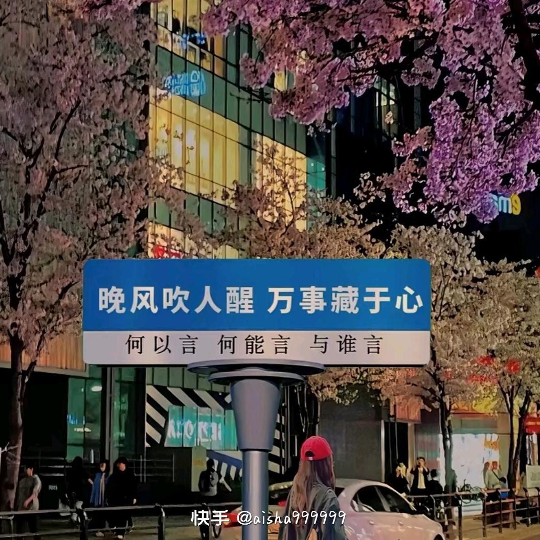 橙心🍊🌺程意